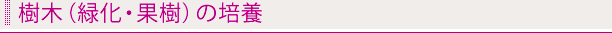 樹木（緑化・果樹）の培養