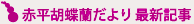 赤平胡蝶蘭だより 最新記事
