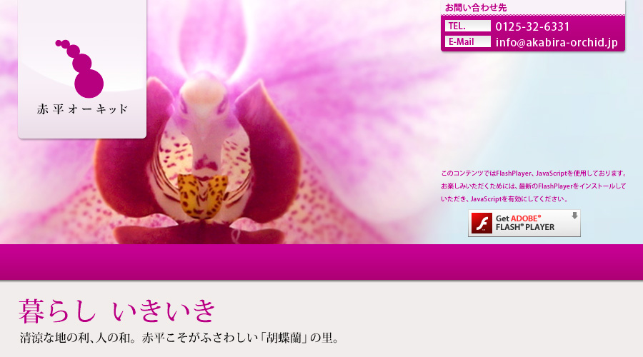 赤平オーキッド　このコンテンツではFlash Player、Javascriptを使用しております。お楽しみいただくためには、最新のFlash Playerをインストールしていただき、Javascriptを有効にしてください。